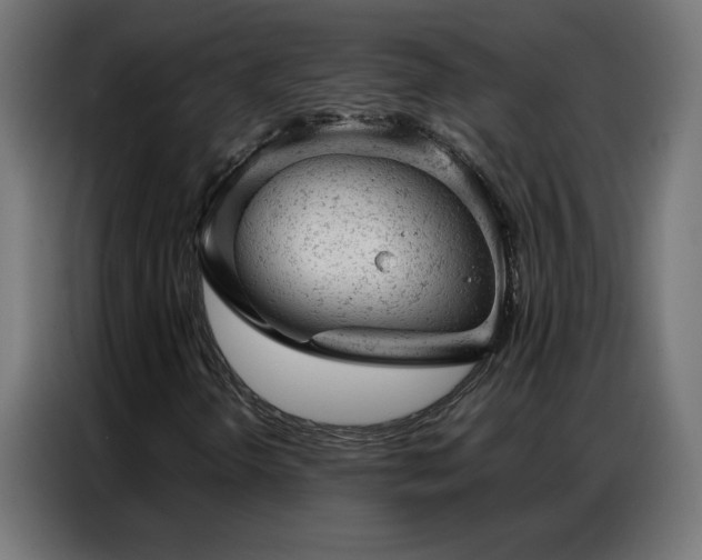 X0000087001298200704161516