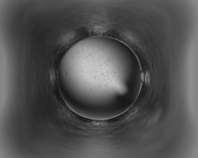 X0000087001299200704161516