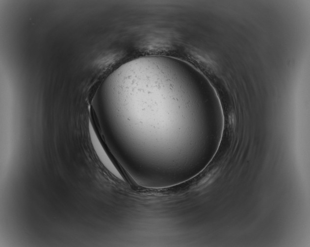 X0000087001300200704161516