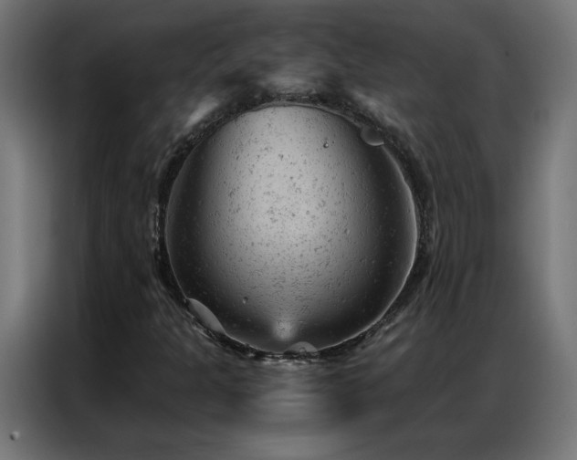 X0000087001301200704161516