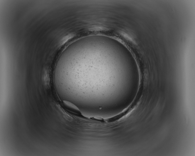 X0000087001305200704161516