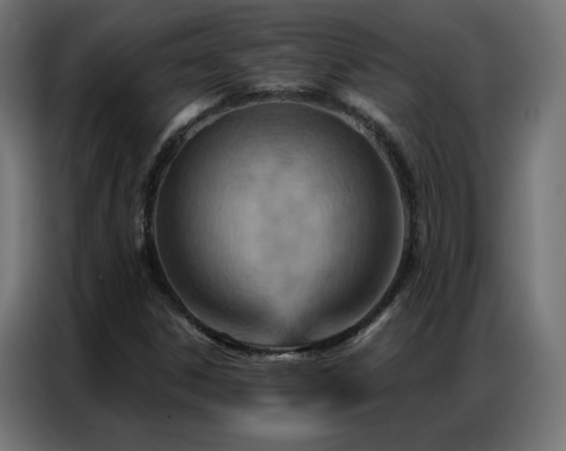 X0000087001306200704161516
