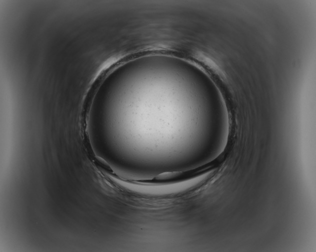 X0000087001308200704161516