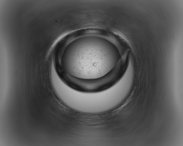 X0000087001310200704161517
