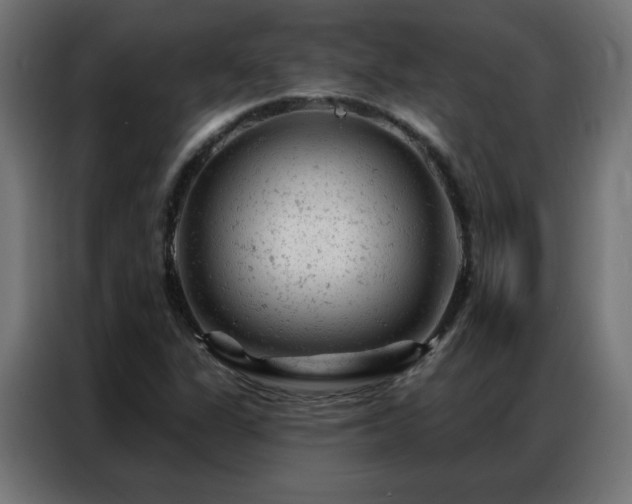 X0000087001311200704161517