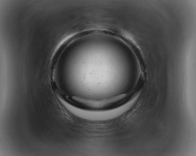 X0000087001312200704161517