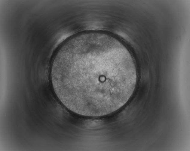 X0000087001314200704161517