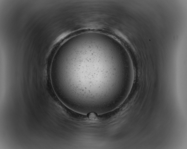 X0000087001315200704161517