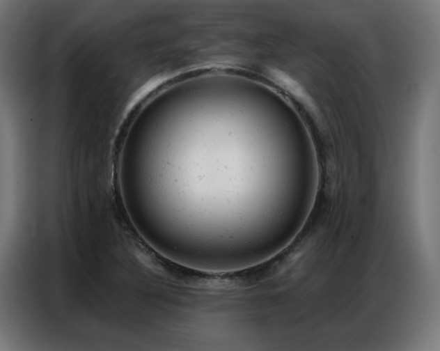 X0000087001316200704161517