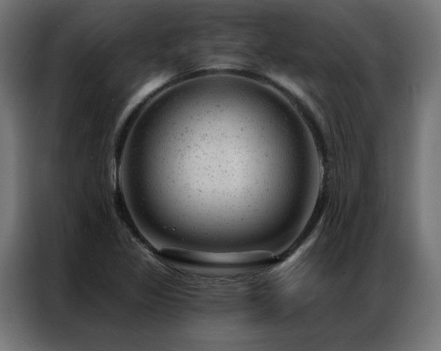 X0000087001317200704161517
