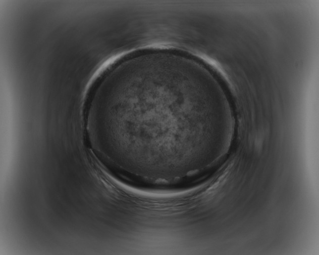 X0000087001319200704161517