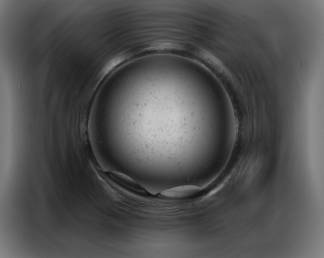 X0000087001321200704161517