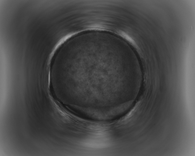 X0000087001323200704161517