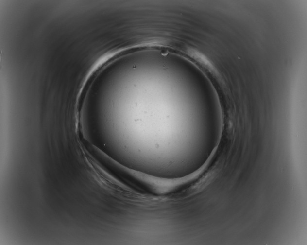 X0000087001324200704161517
