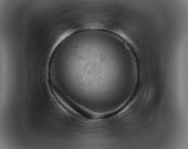 X0000087001325200704161517