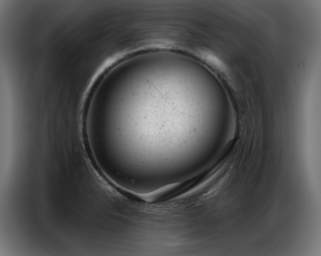 X0000087001326200704161517