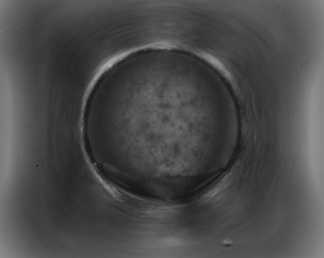 X0000087001327200704161517