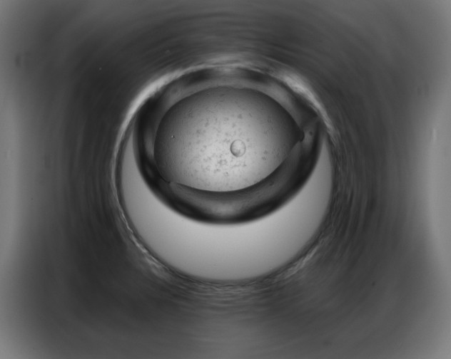 X0000087001328200704161517