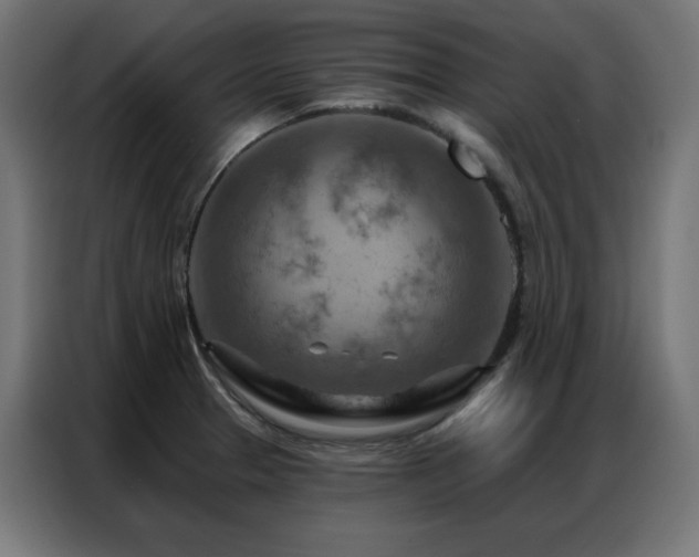 X0000087001329200704161517