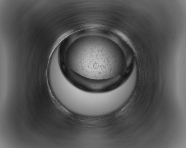 X0000087001330200704161517