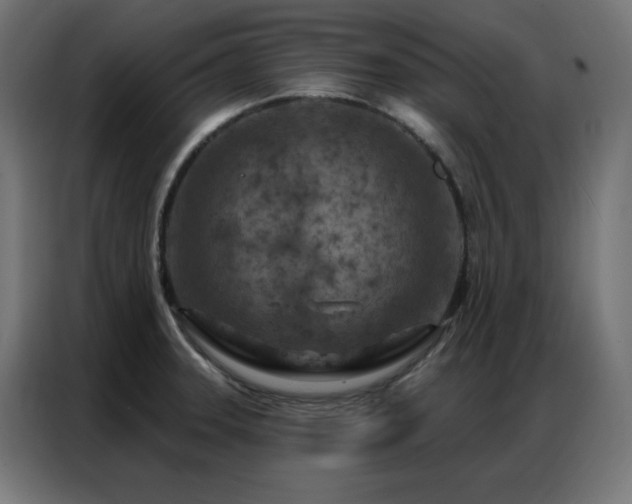 X0000087001331200704161517