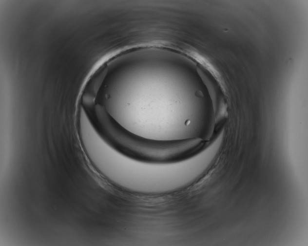X0000087001332200704161517