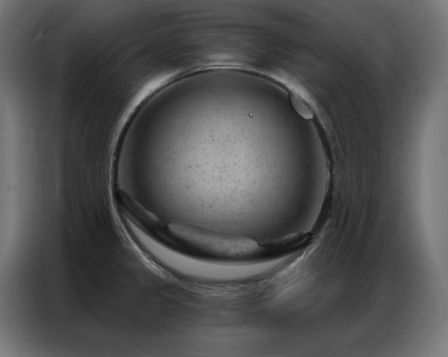 X0000087001333200704161517