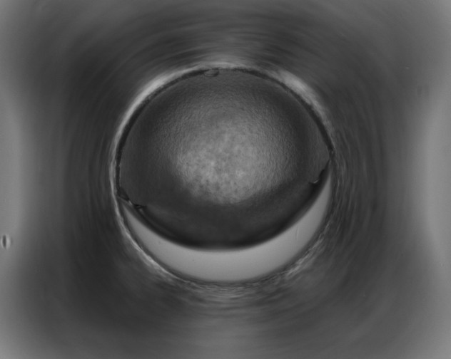 X0000087001334200704161517