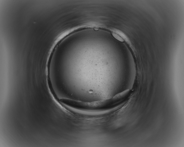 X0000087001335200704161517