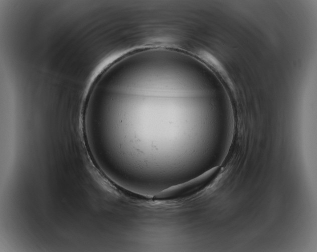 X0000087001336200704161517