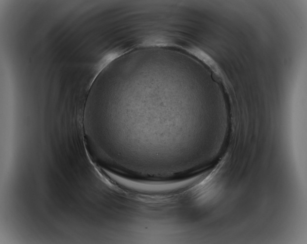 X0000087001337200704161517