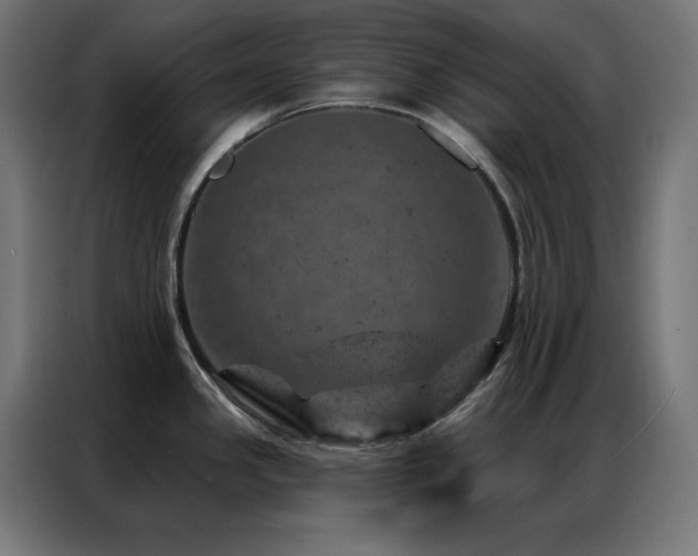 X0000087001341200704161517