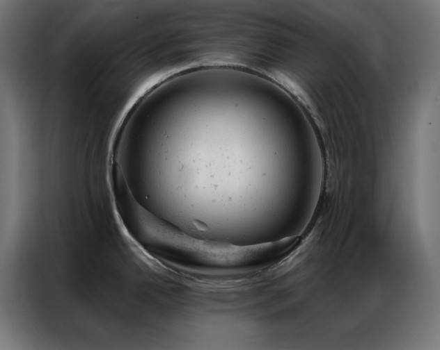 X0000087001342200704161517