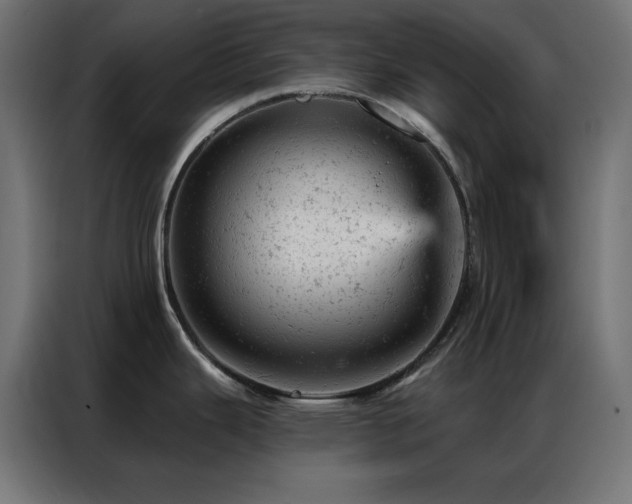 X0000087001343200704161517