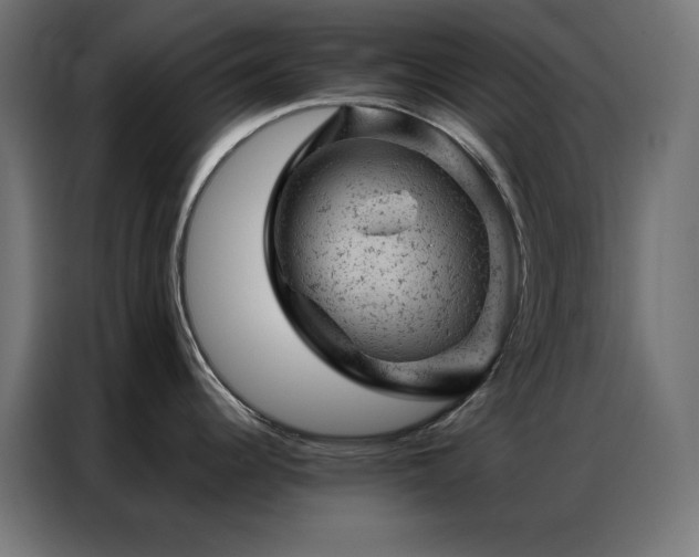 X0000087001344200704161517