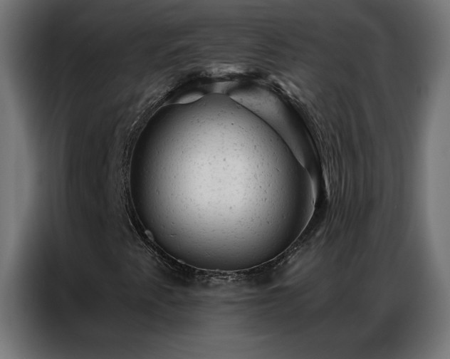 X0000087001345200704161516