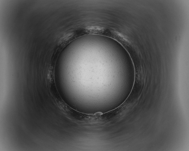 X0000087001346200704161516
