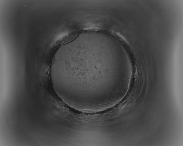 X0000087001351200704161516