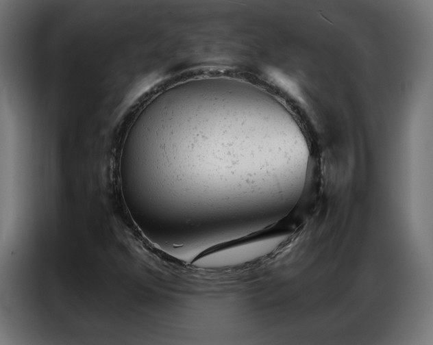 X0000087001352200704161516