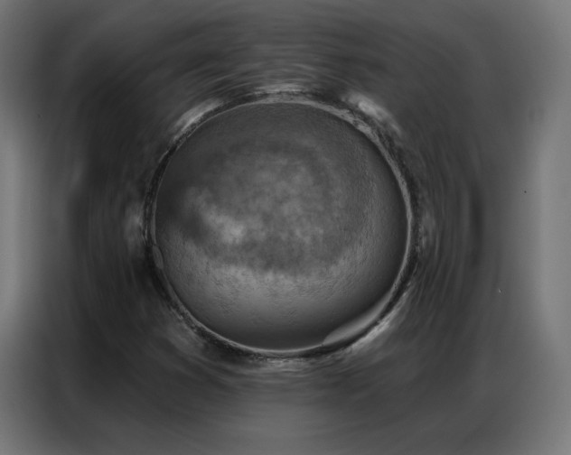 X0000087001353200704161516