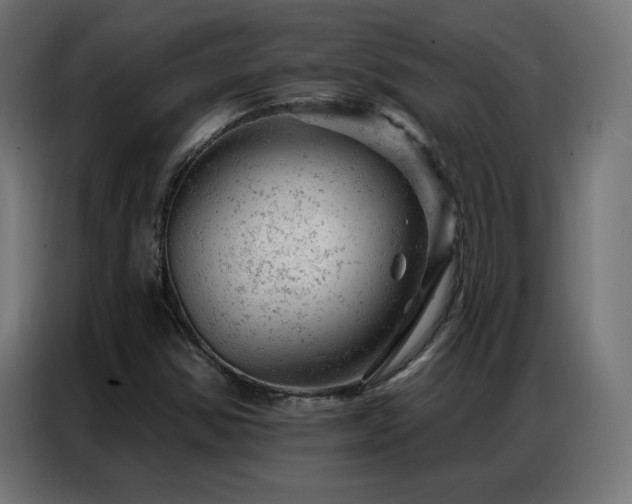 X0000087001354200704161516