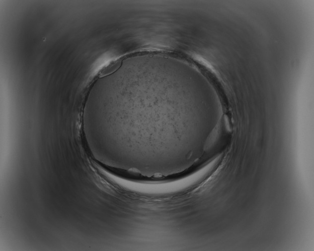 X0000087001355200704161516