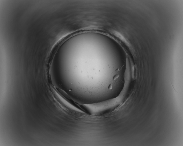 X0000087001356200704161516