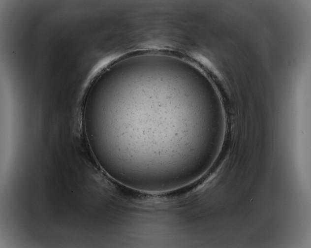 X0000087001358200704161516