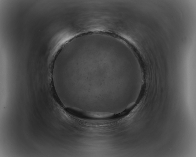 X0000087001359200704161516