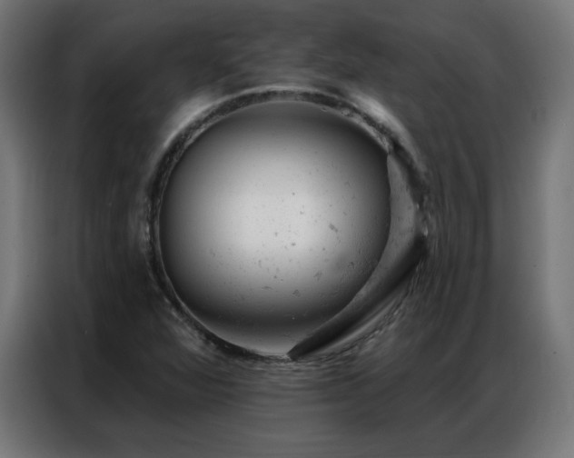 X0000087001360200704161516