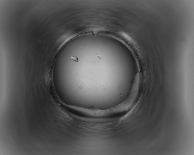 X0000087001361200704161516