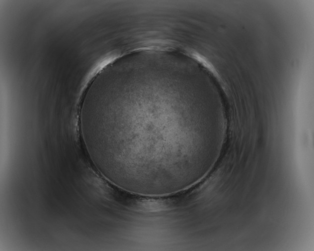 X0000087001362200704161516