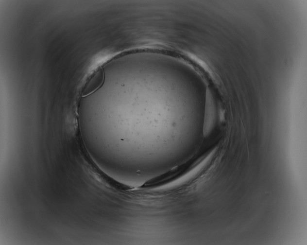X0000087001363200704161516