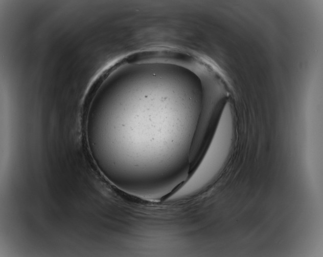 X0000087001364200704161516